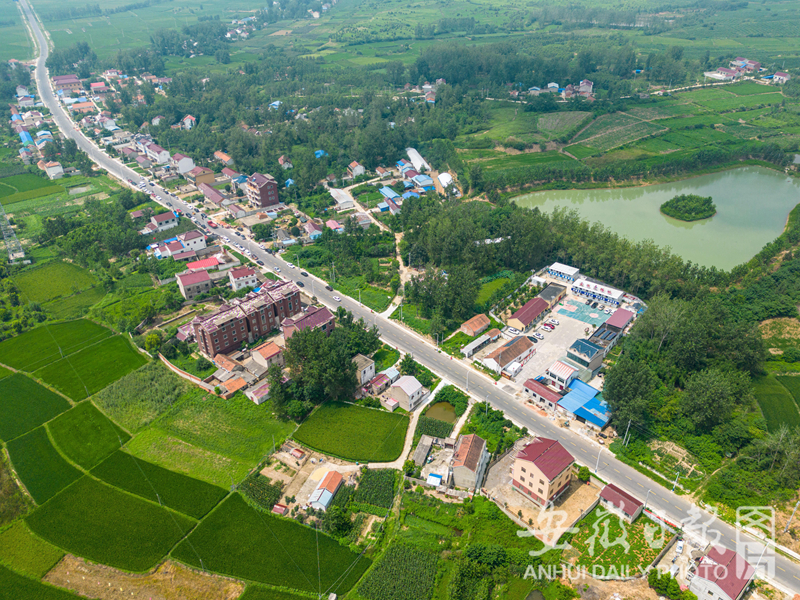 香蕉久久av一区二区三区