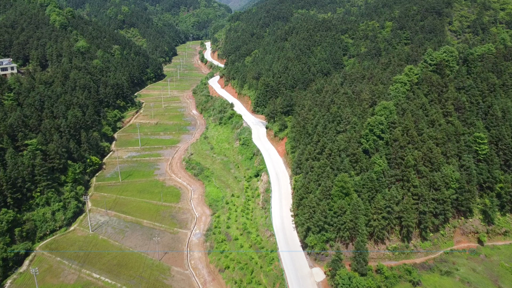 香蕉久久av一区二区三区